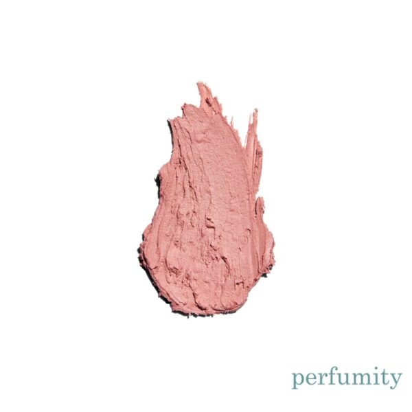 Colorescience Sunforgettable Total Protection SPF 50 Balm BLUSH 0.32 oz / 9 g - Image 3